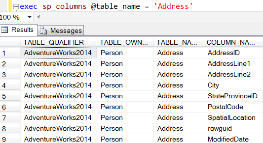 Get Table Column Names List In SQL Server By Code