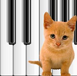 Windows 8 Cat Piano app for kids