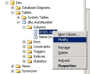 set SQL Server identity column