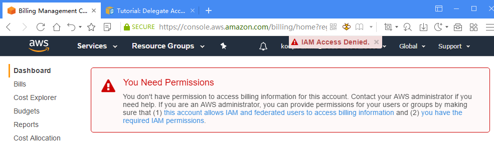 IAM Access Denied AWS Billing Service