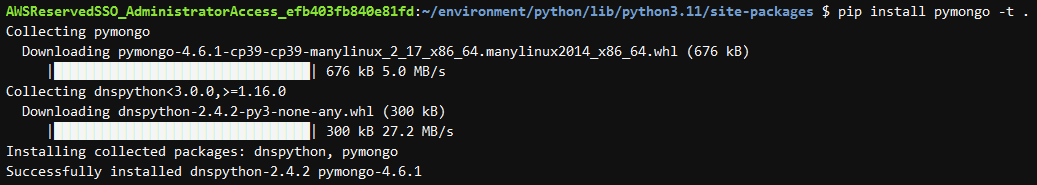 install PyMongo Python package