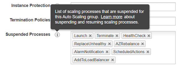 suspend auto scaling processes like launch and terminate
