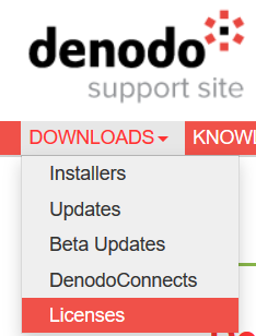 download Denodo license files