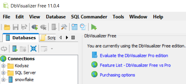 dbvisualizer connect to sql server