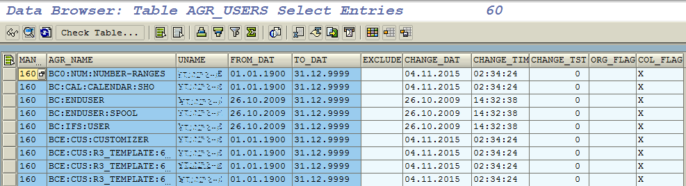 how to check role assignment history in sap
