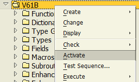 activate SAP function group