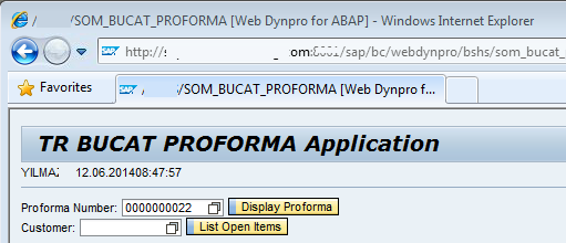 set web page title for SAP Web Dynpro application