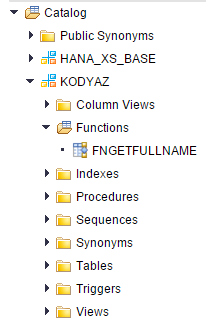 SQL functions listed under SAP HANA catalog