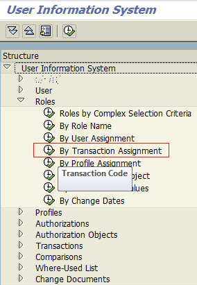 role assignment in sap transaction