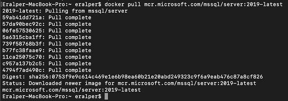 download docker image of SQL Server 2019 latest release