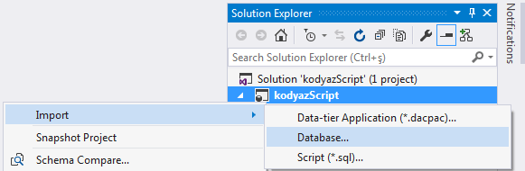 ms visual studio import packages