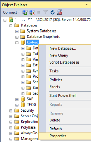 display database properties using SQL Server Management Studio