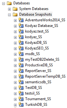 Database snapshot listed in SQL Server Management Studio