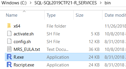 SQL Server R for Windows Rterm tool