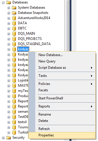 SQL Server Management Studio display database properties