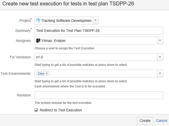 Test Execution definition