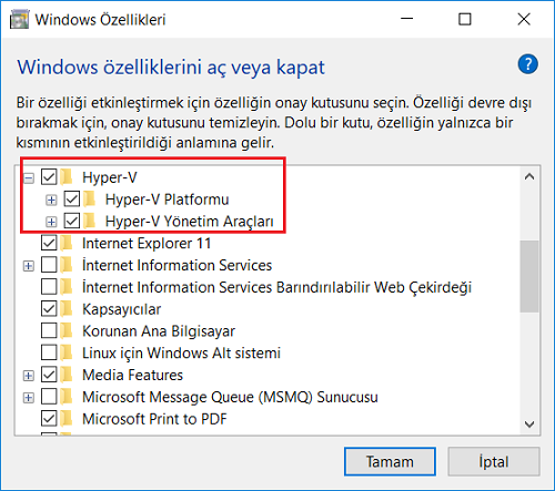 turn on Hyper-V feature on Windows