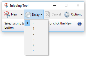 Windows Snipping Tool with delay for screen capture