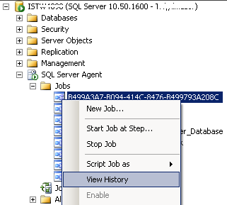 SQL Server Management Studio View Job History tool